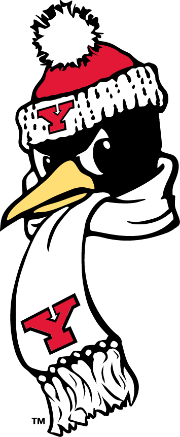 Youngstown State Penguins 1993-Pres Alternate Logo v5 DIY iron on transfer (heat transfer)